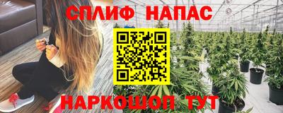 стафф Будённовск