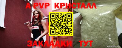 стафф Будённовск