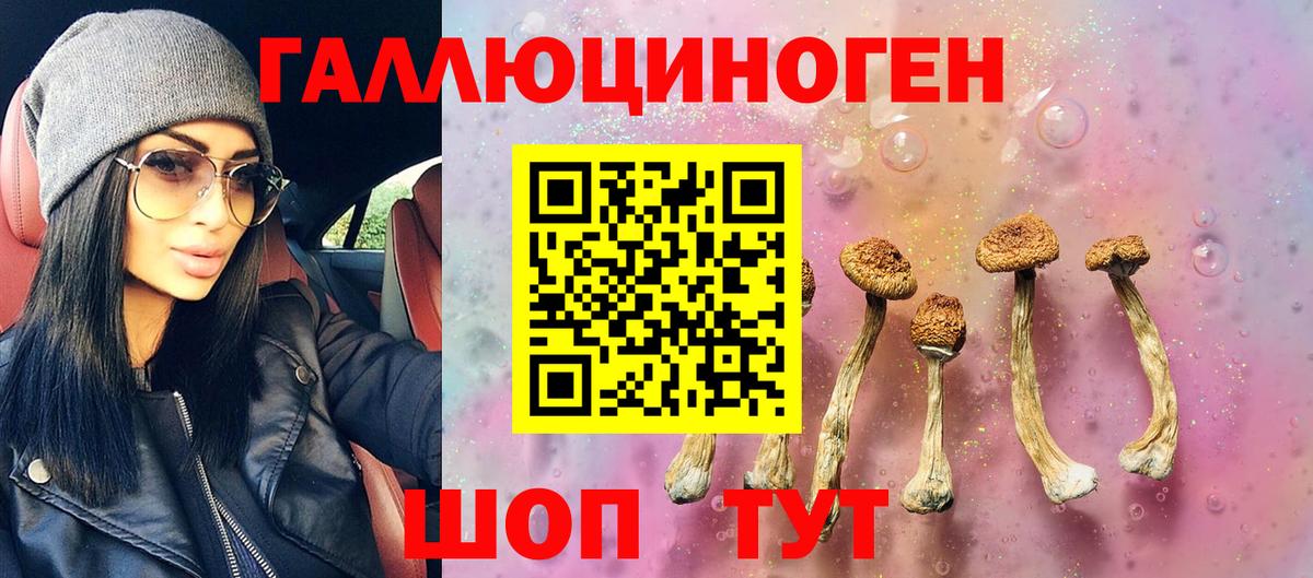 Псилоцибиновые грибы мухоморы Ишим