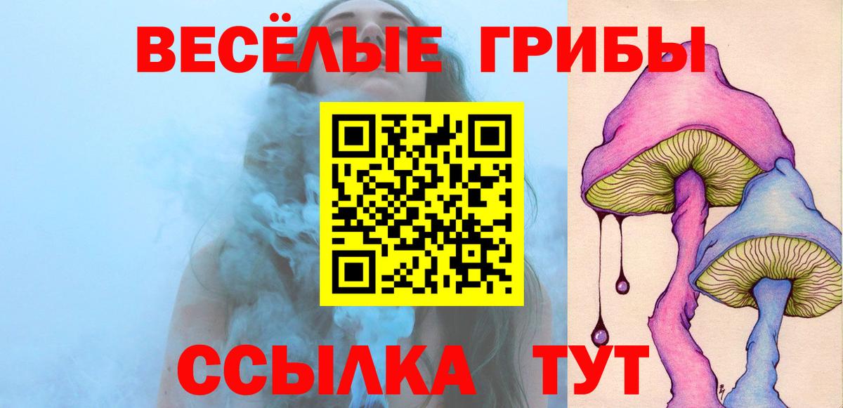 Галлюциногенные грибы мицелий  Вход с VPN  Ишим  Галлюциногенные грибы Cubensis 